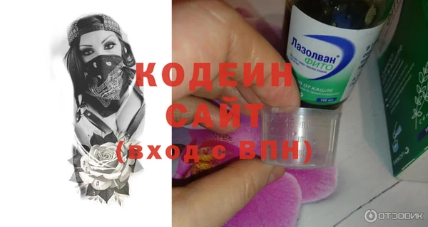 ПСИЛОЦИБИНОВЫЕ ГРИБЫ Осинники