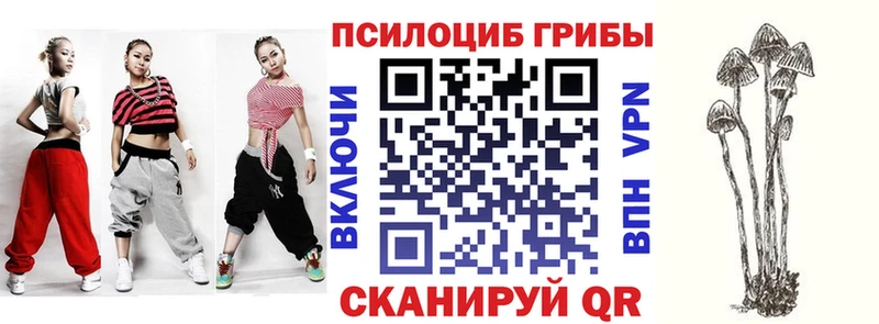 наркошоп Нязепетровск Псилоцибиновые грибы мицелий